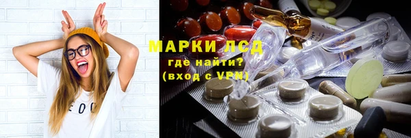прущие грибы Магас