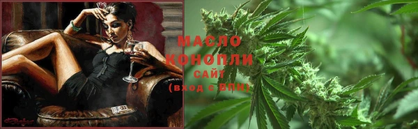 прущие грибы Магас
