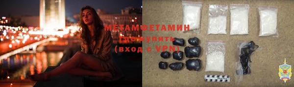 прущие грибы Магас