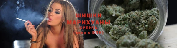 прущие грибы Магас
