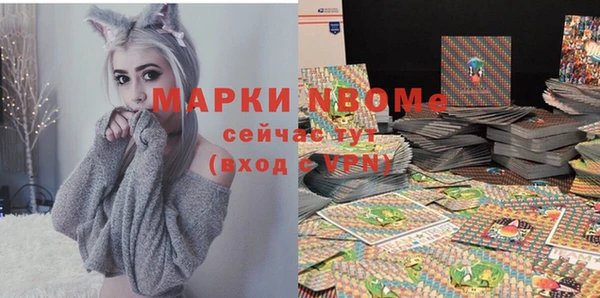прущие грибы Магас