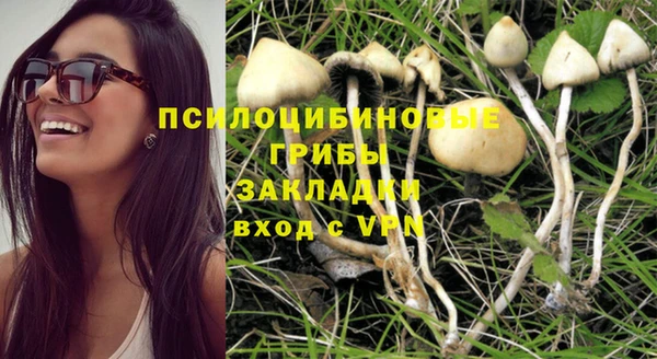 прущие грибы Магас