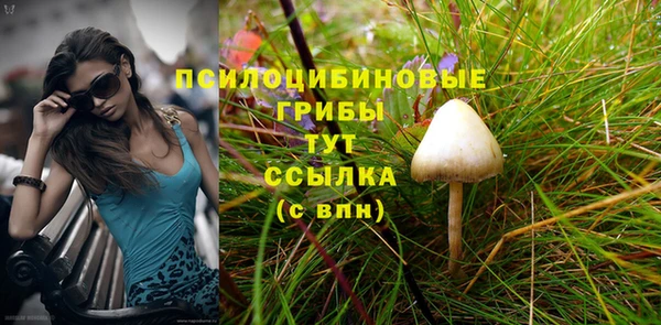прущие грибы Магас