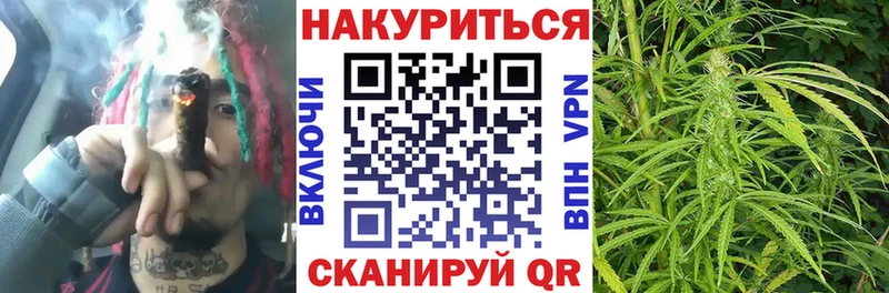 Бошки Шишки гибрид цены Старица